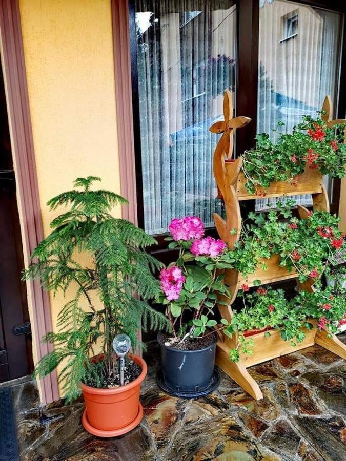 Pensiunea Gianina Arieşeni Exteriör bild