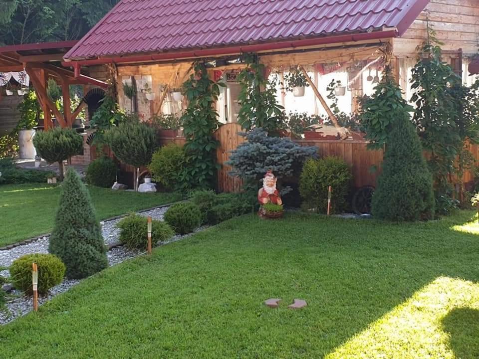 Pensiunea Gianina Arieşeni Exteriör bild
