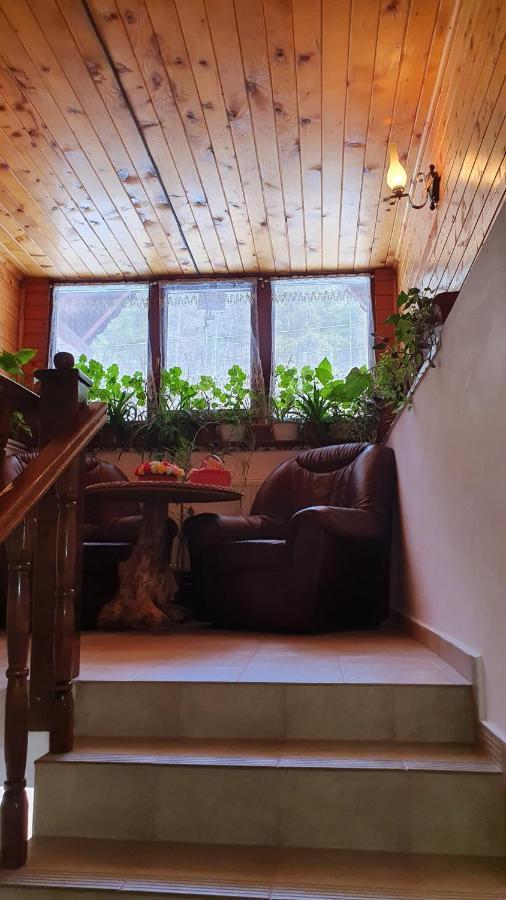 Pensiunea Gianina Arieşeni Exteriör bild